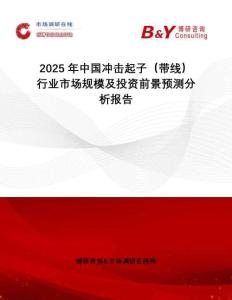 2025年中國(guó)沖擊起子（帶線）行業(yè)市場(chǎng)規(guī)模及投資前景預(yù)測(cè)分析報(bào)告