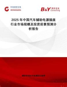 2025年中國汽車輔助電源插座行業(yè)市場規(guī)模及投資前景預(yù)測分析報(bào)告
