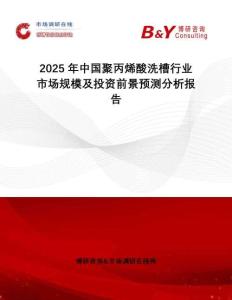 2025年中国聚丙烯酸洗槽行业市场规模及投资前景预测分析报告