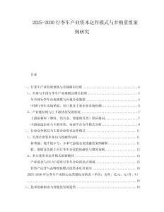 2025-2030行李車(chē)產(chǎn)業(yè)資本運(yùn)作模式與并購(gòu)重組案例研究