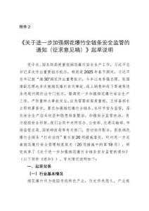 《進一步加強煙花爆竹全鏈條安全監管的通知（征求意見稿）》起草說明