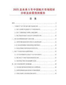 2025及未來5年中國蚊片市場現(xiàn)狀分析及前景預測報告