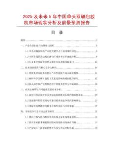 2025及未來5年中國單頭雙軸包膠機市場現狀分析及前景預測報告