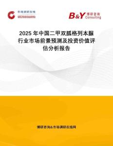2025年中國二甲雙胍格列本脲行業(yè)市場前景預(yù)測及投資價值評估分析報告