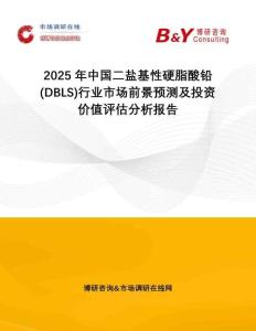 2025年中國二鹽基性硬脂酸鉛 (DBLS)行業(yè)市場前景預測及投資價值評估分析報告