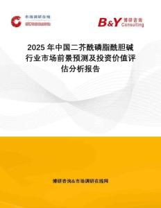 2025年中國二芥酰磷脂酰膽堿行業(yè)市場前景預(yù)測及投資價值評估分析報告