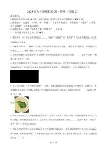 2025年安徽省滁州市全椒县中考一模物理试题（原卷版）-A4