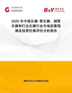 2025年中國樂器-管樂器、銅管樂器和打擊樂器行業(yè)市場前景預(yù)測及投資價值評估分析報告