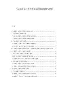 馬達加斯加甘蔗種植業(yè)市場發(fā)展策略與投資