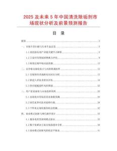 2025及未來5年中國清洗除垢劑市場現(xiàn)狀分析及前景預(yù)測報告