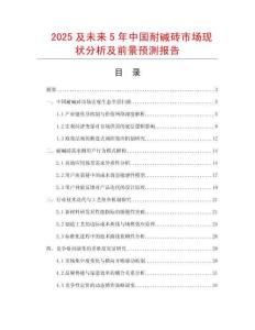 2025及未來5年中國耐堿磚市場現狀分析及前景預測報告
