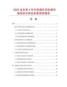 2025及未來5年中國液壓夾軌器市場現狀分析及前景預測報告