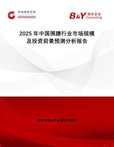 2025年中国围腰行业市场规模及投资前景预测分析报告