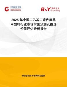 2025年中國二乙基二硫代氨基甲酸鋅行業(yè)市場前景預(yù)測及投資價(jià)值評(píng)估分析報(bào)告