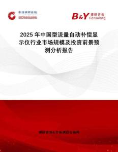 2025年中國型流量自動(dòng)補(bǔ)償顯示儀行業(yè)市場規(guī)模及投資前景預(yù)測分析報(bào)告