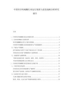 中國(guó)苯并呋喃酮行業(yè)運(yùn)行現(xiàn)狀與前景戰(zhàn)略分析研究報(bào)告