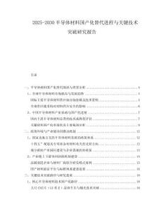 2025-2030半導(dǎo)體材料國產(chǎn)化替代進(jìn)程與關(guān)鍵技術(shù)突破研究報告