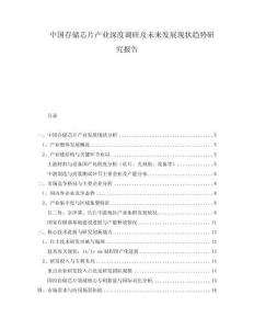 中國(guó)存儲(chǔ)芯片產(chǎn)業(yè)深度調(diào)研及未來(lái)發(fā)展現(xiàn)狀趨勢(shì)研究報(bào)告