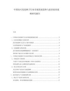 中國高可見度褲子行業市場發展趨勢與前景展望戰略研究報告