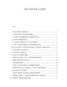 2025-2030科技與互聯(lián)網(wǎng)