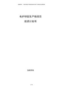 電爐鋅錠生產(chǎn)線項(xiàng)目投資計(jì)劃書