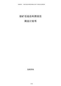 铁矿石综合利用项目商业计划书