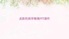 皮膚性病學(xué)梅毒PPT課件