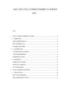 2025-2030中國(guó)云計(jì)算服務(wù)市場(chǎng)規(guī)模與行業(yè)滲透率分析