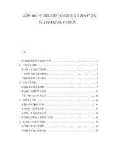 2025-2030中國清潔煤行業市場現狀供需分析及投資評估規劃分析研究報告