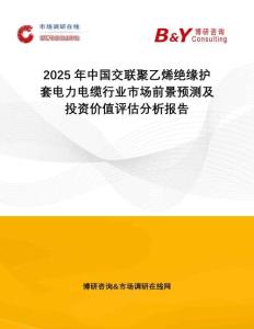 2025年中國(guó)交聯(lián)聚乙烯絕緣護(hù)套電力電纜行業(yè)市場(chǎng)前景預(yù)測(cè)及投資價(jià)值評(píng)估分析報(bào)告