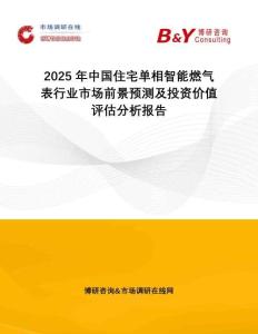 2025年中國住宅單相智能燃氣表行業(yè)市場前景預(yù)測及投資價值評估分析報告