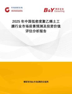 2025年中國(guó)低密度聚乙烯土工膜行業(yè)市場(chǎng)前景預(yù)測(cè)及投資價(jià)值評(píng)估分析報(bào)告