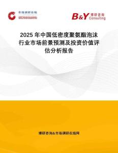2025年中國低密度聚氨酯泡沫行業(yè)市場前景預(yù)測及投資價值評估分析報告