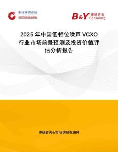 2025年中國低相位噪聲VCXO行業(yè)市場前景預(yù)測及投資價(jià)值評估分析報(bào)告