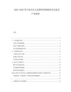 2025-2030李宇春音樂人品牌轉(zhuǎn)型策略研究及造星產(chǎn)業(yè)投資