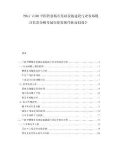 2025-2030中國智慧城市基礎(chǔ)設(shè)施建設(shè)行業(yè)市場現(xiàn)狀供需分析及城市建設(shè)現(xiàn)代化規(guī)劃報(bào)告