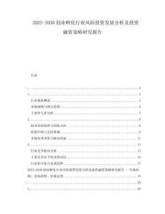 2025-2030創業孵化行業風險投資發展分析及投資融資策略研究報告