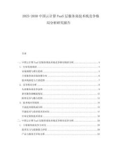 2025-2030中國云計算PaaS層服務商技術棧競爭格局分析研究報告