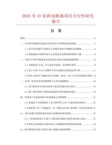 2025年AV矩陣切換器項目可行性研究報告