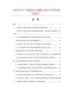 2025年十字槽沉頭木螺釘項(xiàng)目可行性研究報(bào)告