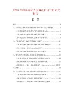 2025年制動浴缸去水器項目可行性研究報告