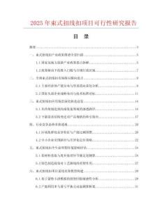 2025年束式扭線扣項目可行性研究報告