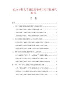 2025年針孔手機監(jiān)控器項目可行性研究報告