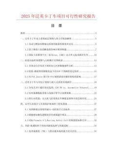 2025年泛英卡丁車項目可行性研究報告