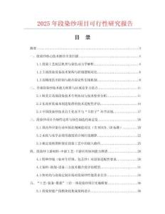2025年段染紗項(xiàng)目可行性研究報(bào)告