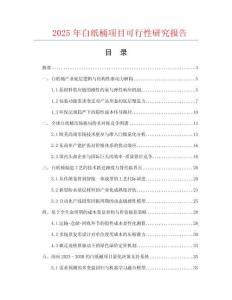 2025年白紙桶項目可行性研究報告