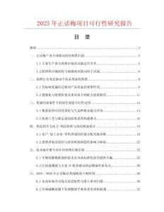 2025年正話梅項目可行性研究報告