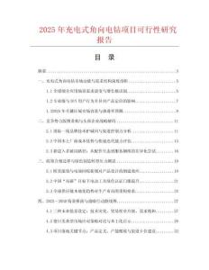 2025年充電式角向電鉆項目可行性研究報告