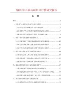 2025年小農(nóng)具項目可行性研究報告