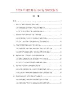 2025年切管片項(xiàng)目可行性研究報(bào)告